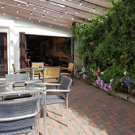 Myles Creek Hotel Kilkee Bagian luar foto
