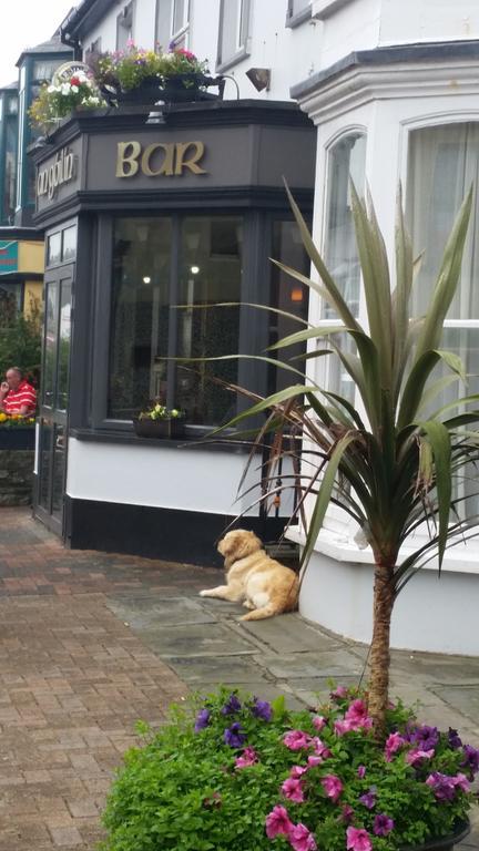 Myles Creek Hotel Kilkee Bagian luar foto