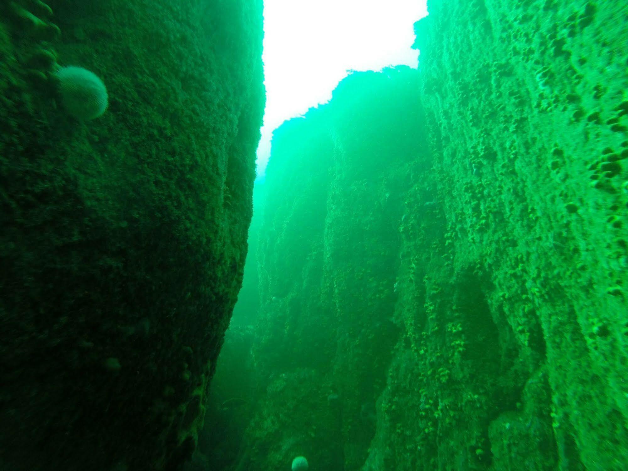 Myles Creek Hotel Kilkee Bagian luar foto